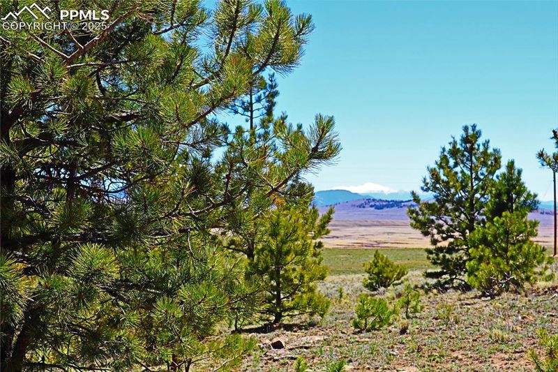 32210 Highway 9, Fairplay, CO 80440