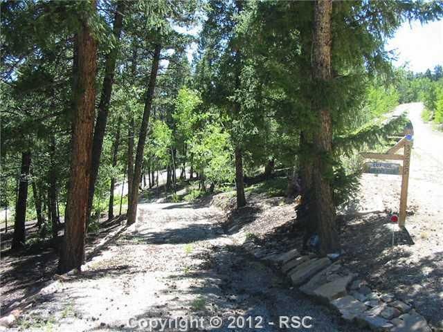 3222 Middle Fork Vista Rd, Fairplay, CO 80440