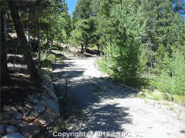3222 Middle Fork Vista Rd, Fairplay, CO 80440