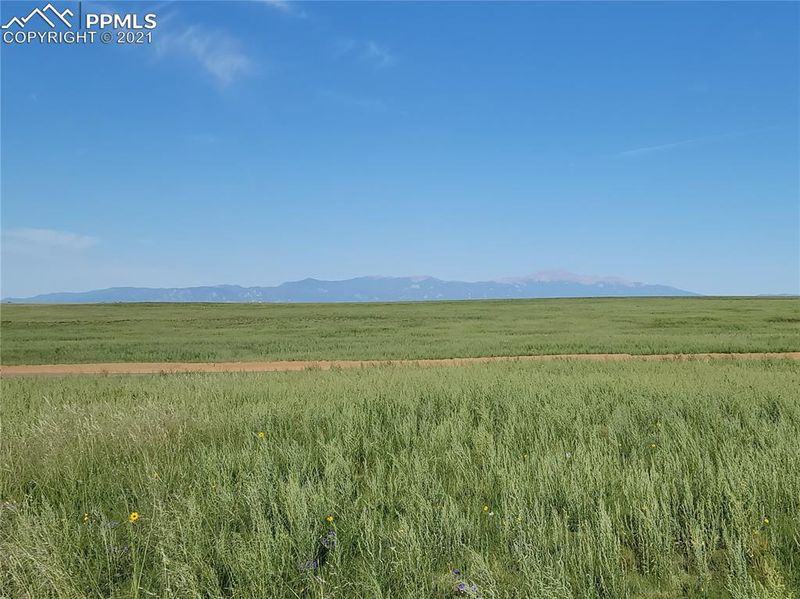 3235 Antelope Hill Vw, Calhan, CO 80808