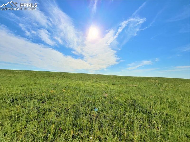 3235 Antelope Hill Vw, Calhan, CO 80808
