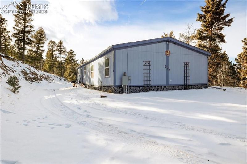 324 Will Stutley Dr, Divide, CO 80815