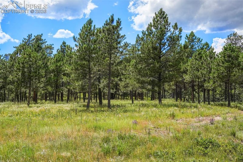 325 Pine Oaks Rd, Colorado Springs, CO 80926