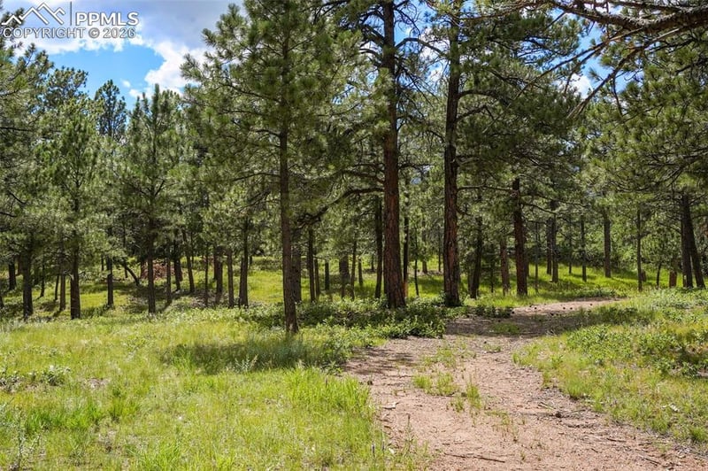 325 Pine Oaks Rd, Colorado Springs, CO 80926