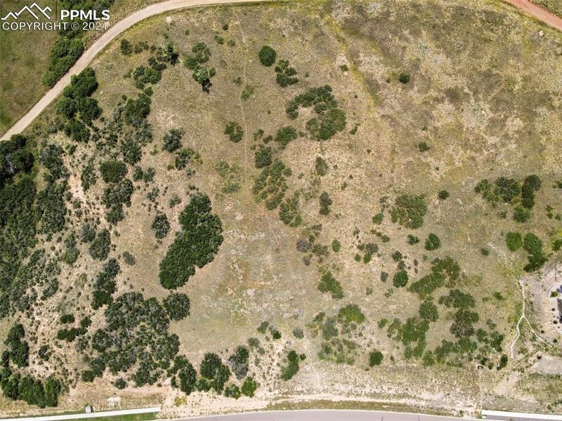 3253 Forest Lakes Dr, Monument, CO 80132