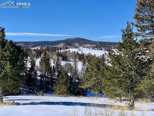 3255 Elk Valley Rd, Divide, CO 80814