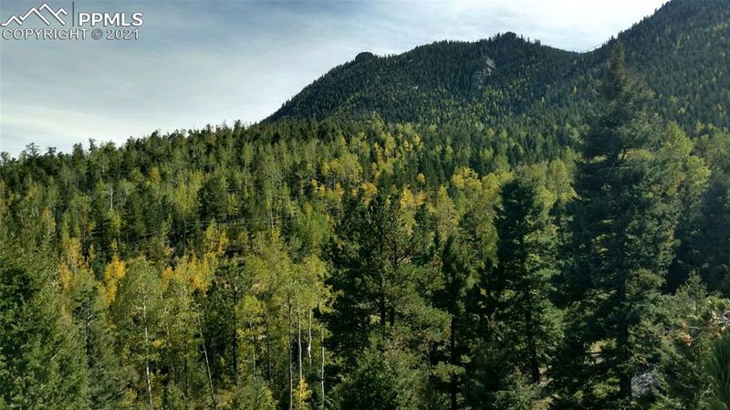 326 Forest Rd, Manitou Springs, CO 80829