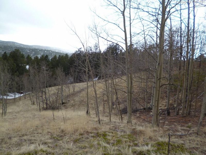 327 Calcite Dr, Divide, CO 80814