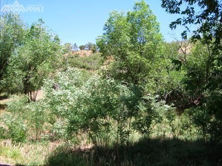 327 Oak Pl, Manitou Springs, CO 80829
