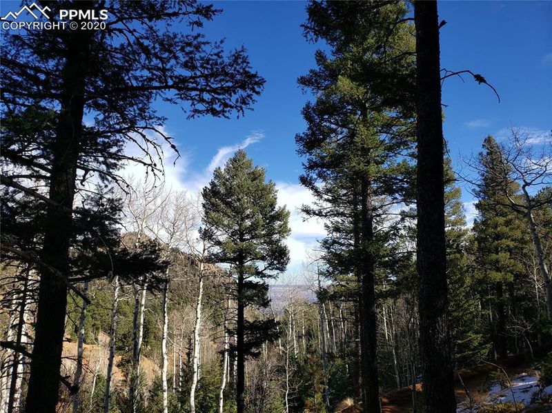 329 Waterfall Loop, Manitou Springs, CO 80829