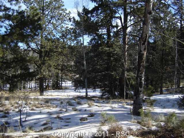 33 Deer Ridge Trl, Divide, CO 80814