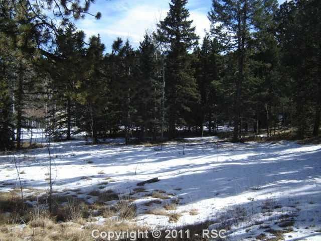 33 Deer Ridge Trl, Divide, CO 80814
