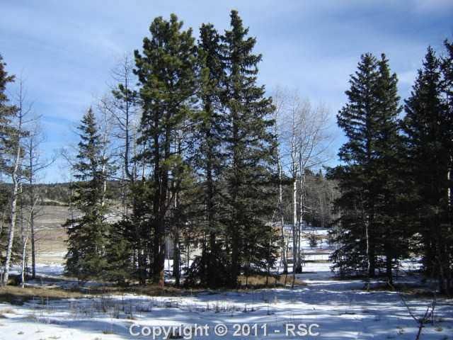 33 Deer Ridge Trl, Divide, CO 80814