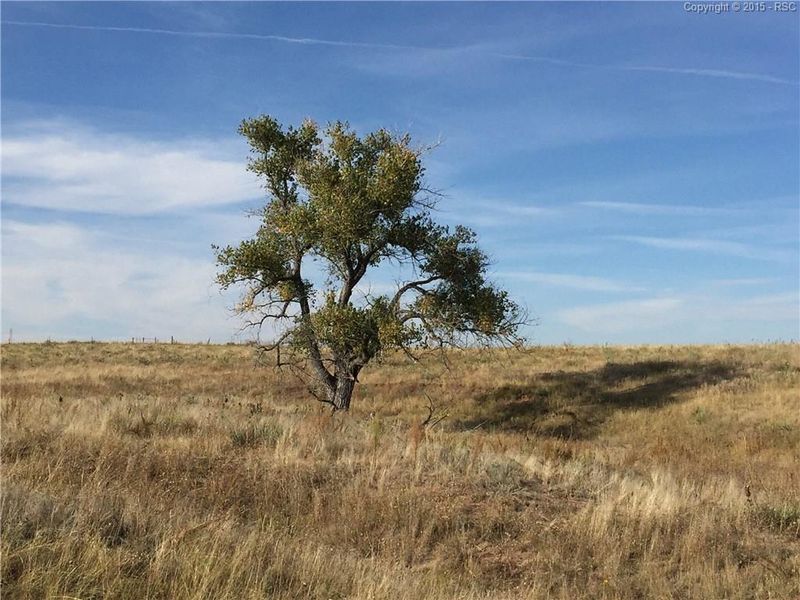 33100 County Road 34, Simla, CO 80835