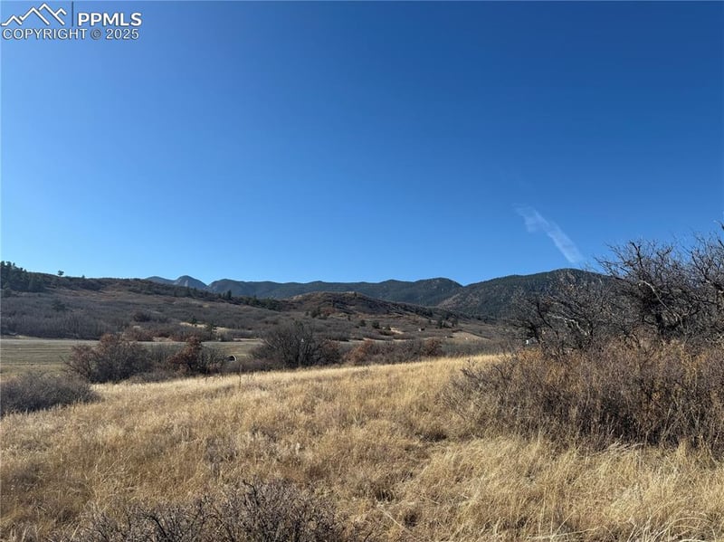 3354 White Bear Point, Colorado Springs, CO 80921