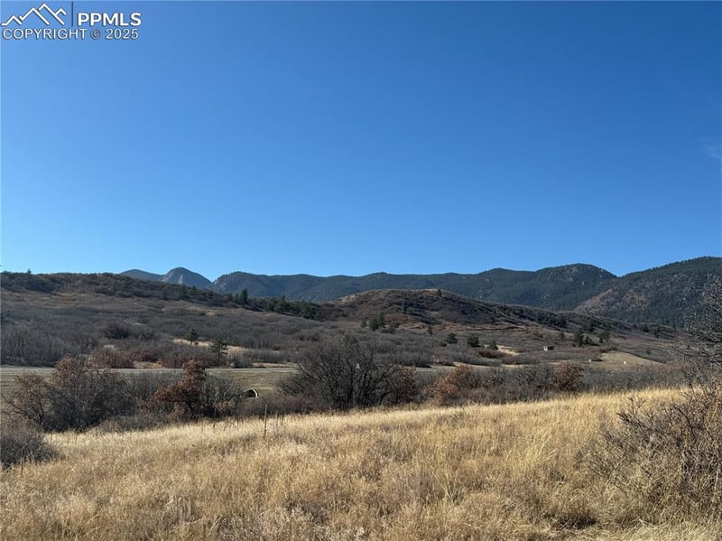 3354 White Bear Point, Colorado Springs, CO 80921