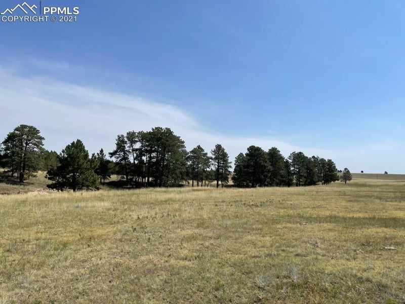 33601 County Road 25 Rd, Elizabeth, CO 80107