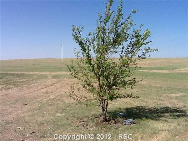 33855 Fossinger Rd, Yoder, CO 80864