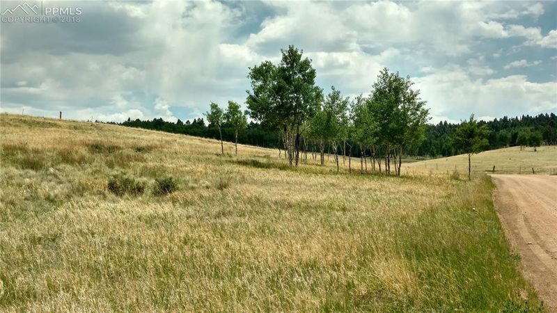 34 Herald Ln, Divide, CO 80863