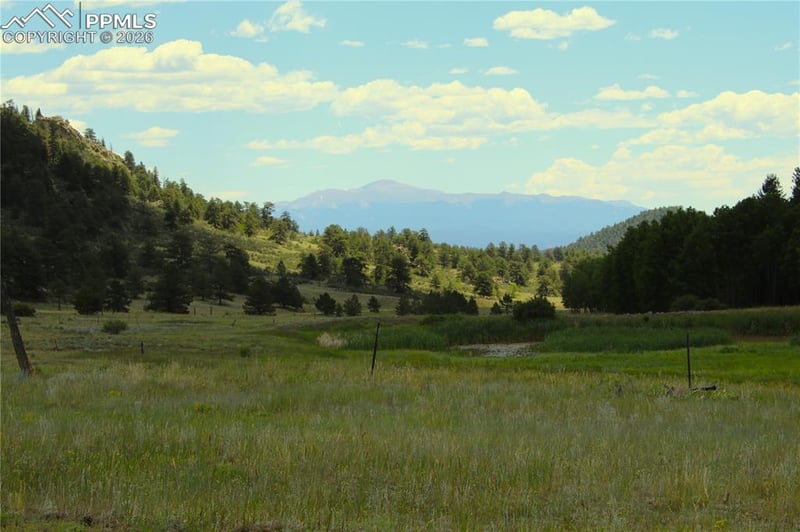 340 County Road 90, Lake George, CO 80827