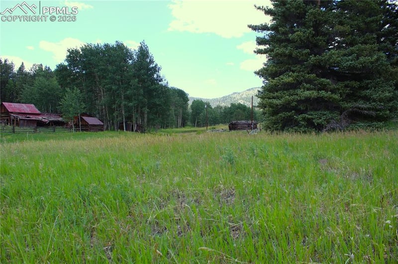 340 County Road 90, Lake George, CO 80827