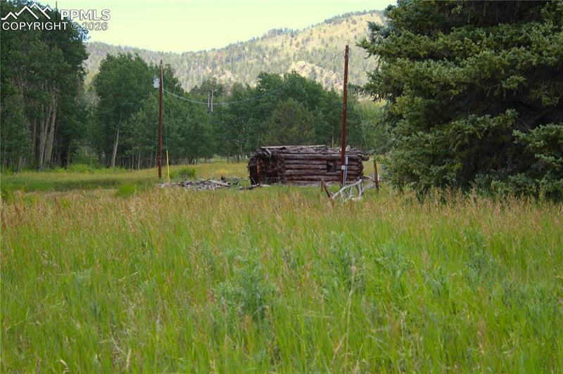 340 County Road 90, Lake George, CO 80827