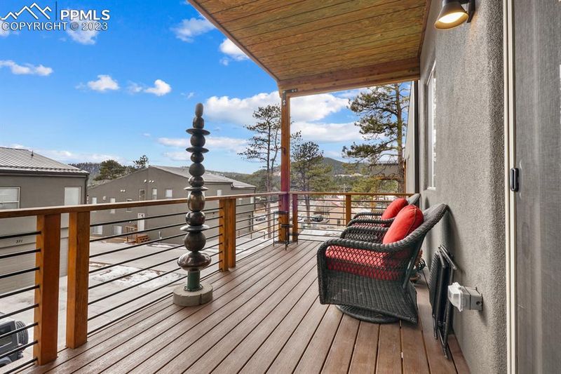 341 S Baldwin St, Woodland Park, CO 80863