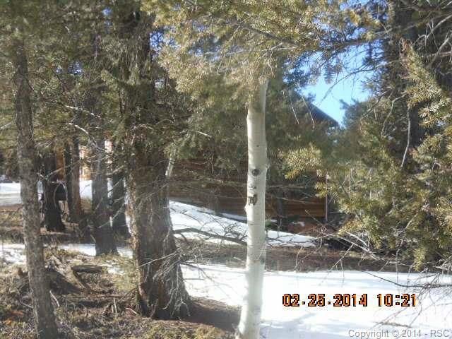 341 Candle Lake Dr, Divide, CO 80814