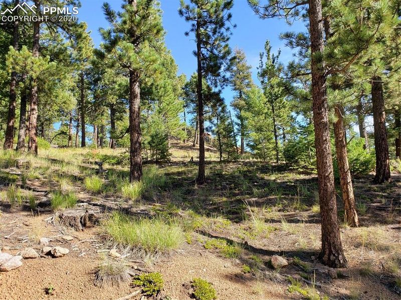 341 Waterfall Rd, Manitou Springs, CO 80829