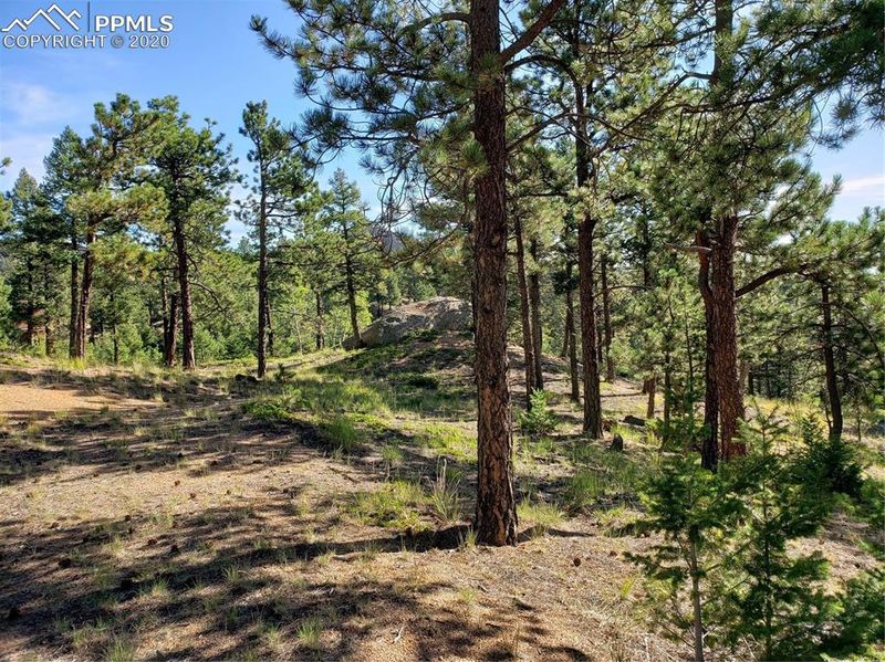 341 Waterfall Rd, Manitou Springs, CO 80829