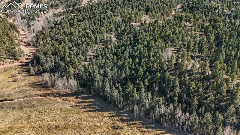 342 Vivenda Rd, Cripple Creek, CO 80813