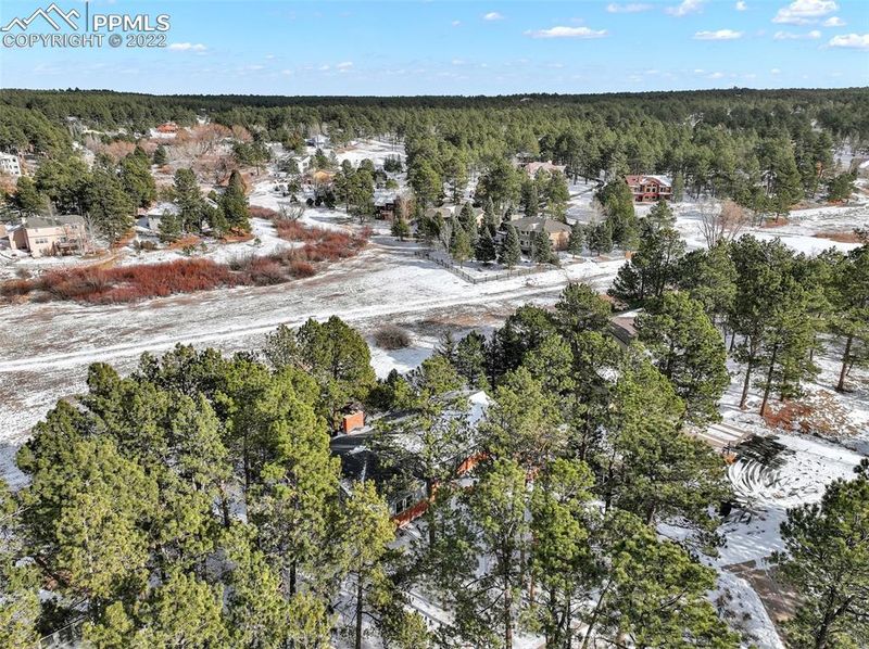 348 Winding Meadow Way, Monument, CO 80132