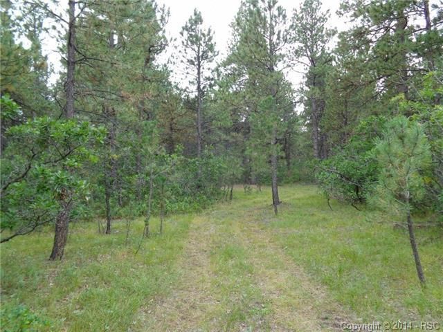 3486 Estates Cir, Larkspur, CO 80118