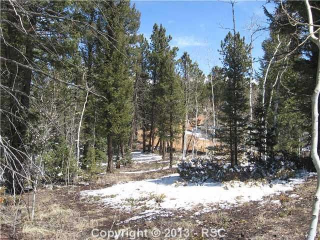 349 John Dr, Divide, CO 80814