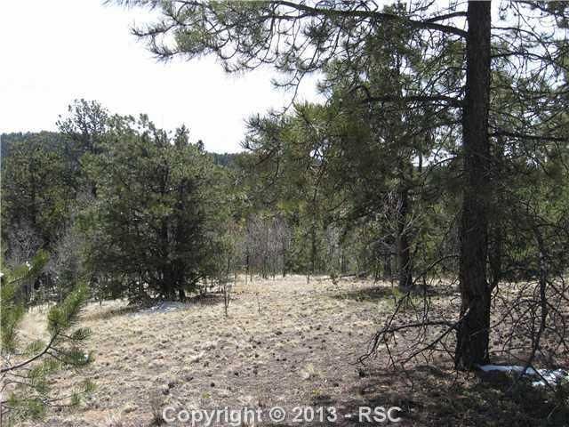 349 John Dr, Divide, CO 80814