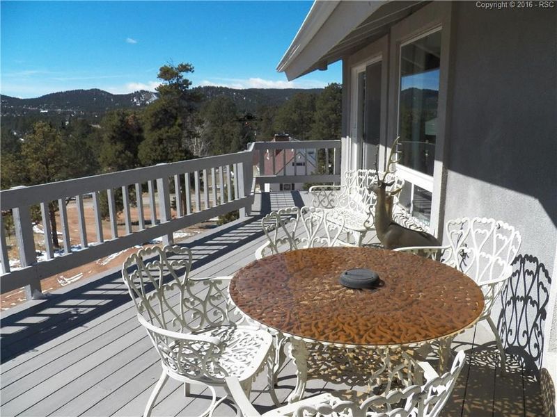 350 Apache Trl, Woodland Park, CO 80863