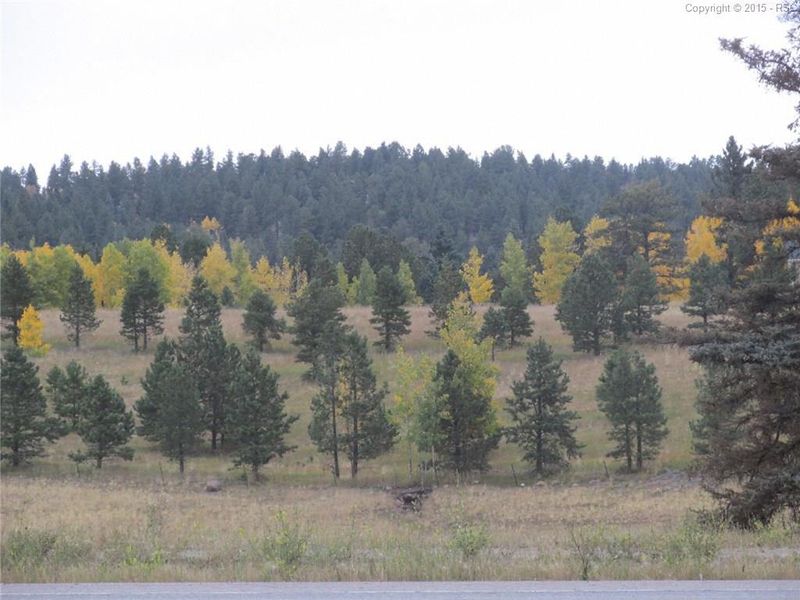 350 Pine Bluff Dr, Divide, CO 80814