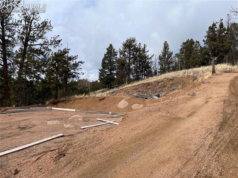 351 Dandy Jim Dr, Cripple Creek, CO 80813