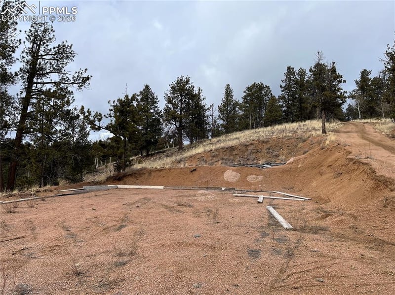 351 Dandy Jim Dr, Cripple Creek, CO 80813