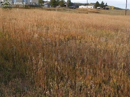 351 Doublet Ln, Divide, CO 81814