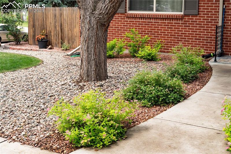 3528 Indianpipe Cir, Colorado Springs, CO 80918
