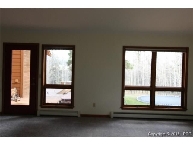 356 Dani Pl, Divide, CO 80814