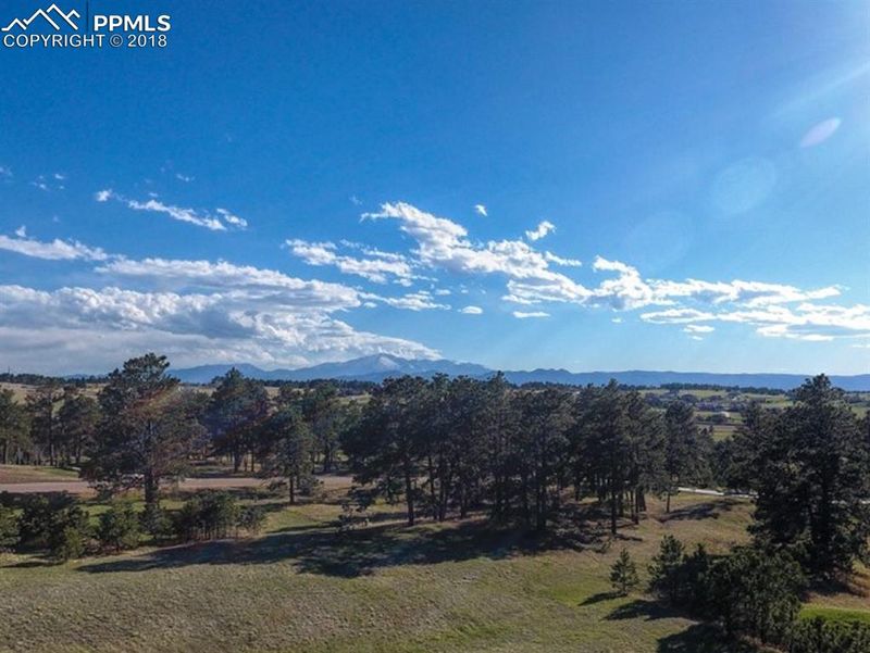 3598 Blue Heron Spring Ln, Colorado Springs, CO 80908
