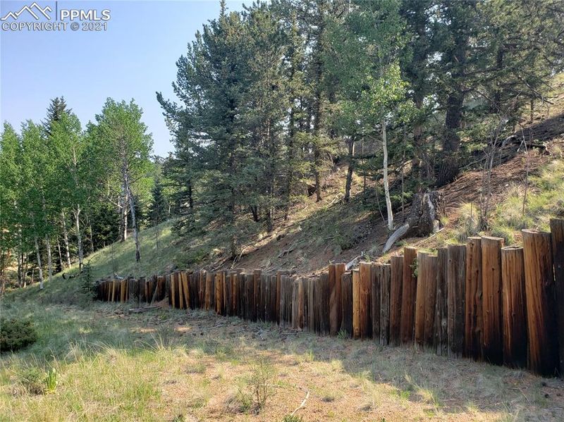 36 Apache Trl, Divide, CO 80814