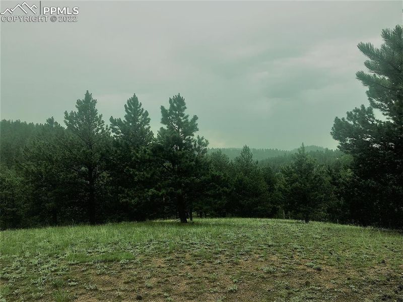 36 Miller Creek Rd, Divide, CO 80814