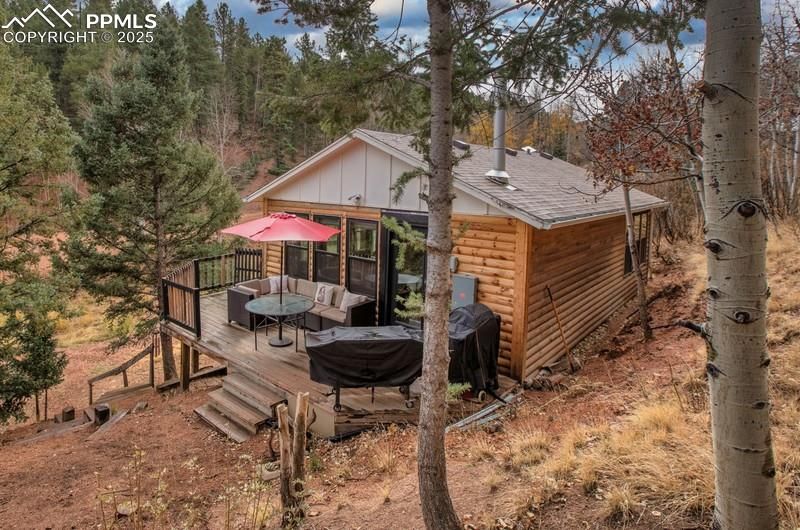 361 Willow Rd, Divide, CO 80814
