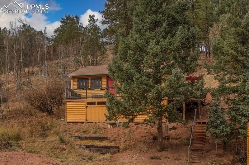 361 Willow Rd, Divide, CO 80814