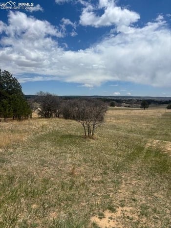 3615 Summertime Ct, Monument, CO 80132