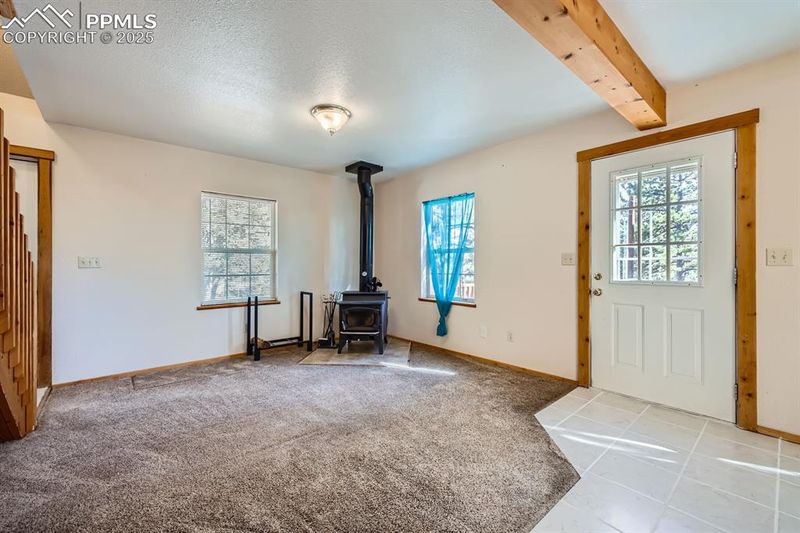 365 Alpine View Rd, Divide, CO 80814
