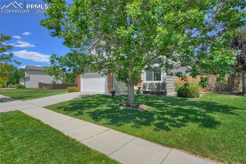 3651 Bareback Dr, Colorado Springs, CO 80922